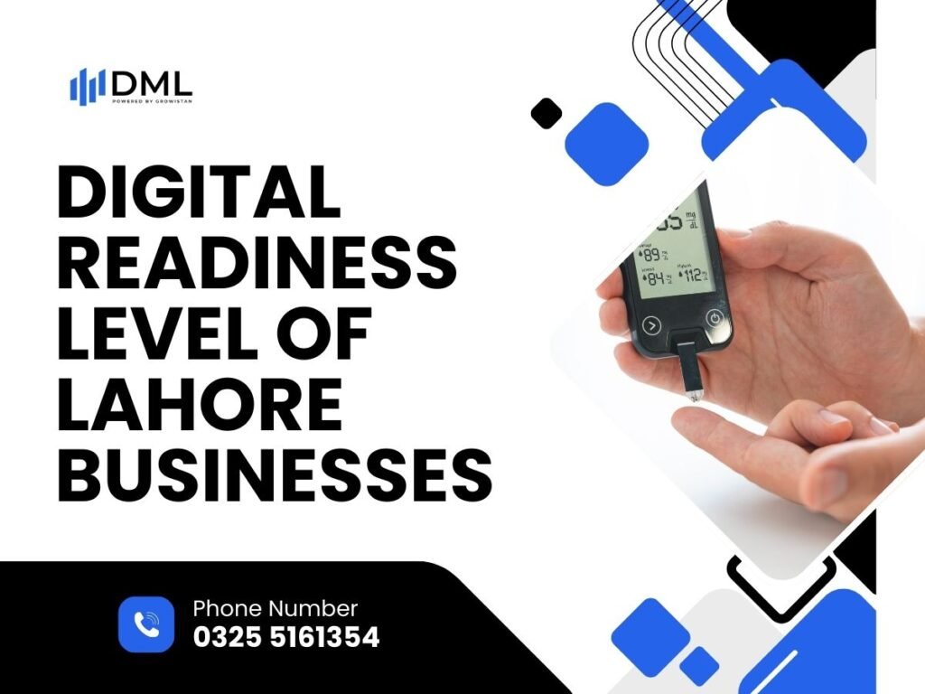 Digital Readiness Level of Lahore Businesses